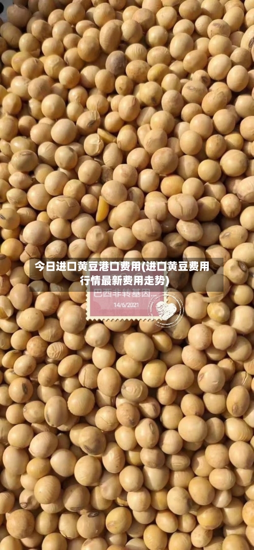 今日进口黄豆港口费用(进口黄豆费用行情最新费用走势)