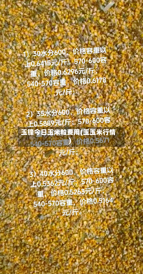 玉锋今日玉米粒费用(玉玉米行情)-第2张图片