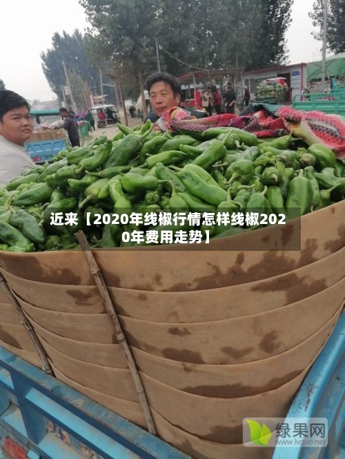 近来【2020年线椒行情怎样线椒2020年费用走势】-第2张图片