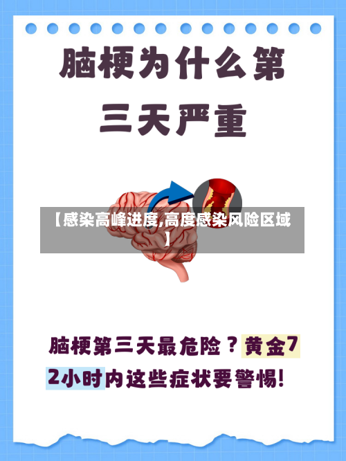 【感染高峰进度,高度感染风险区域】-第2张图片