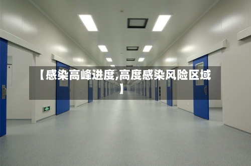 【感染高峰进度,高度感染风险区域】
