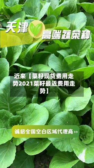 近来【菜籽现货费用走势2021菜籽最近费用走势】-第3张图片