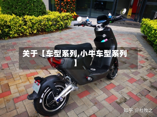 关于【车型系列,小牛车型系列】-第2张图片