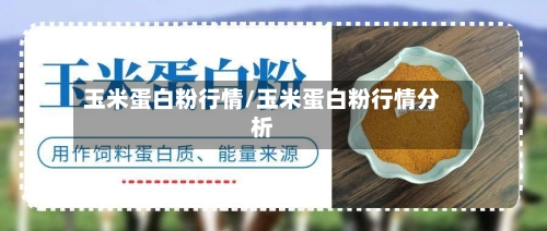 玉米蛋白粉行情/玉米蛋白粉行情分析-第2张图片