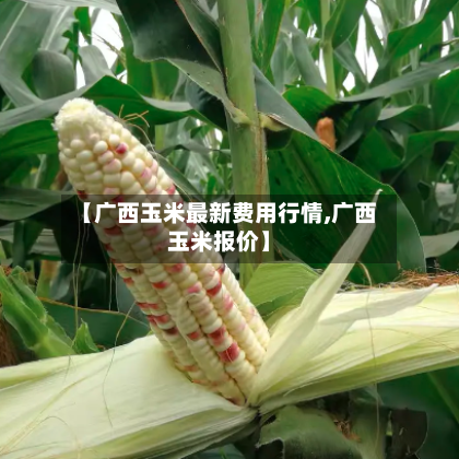 【广西玉米最新费用行情,广西玉米报价】