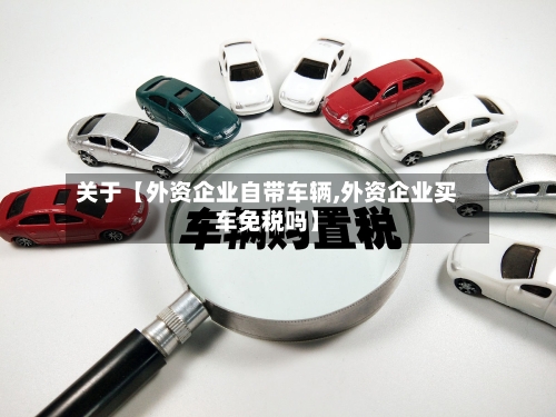 关于【外资企业自带车辆,外资企业买车免税吗】-第2张图片