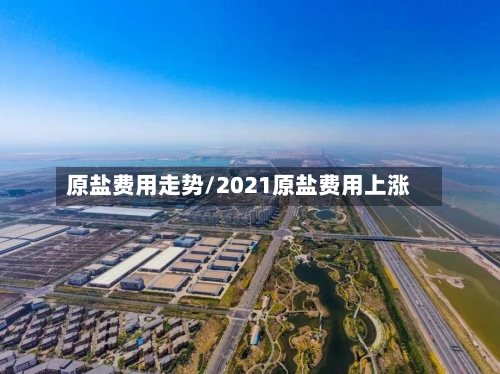 原盐费用走势/2021原盐费用上涨-第2张图片
