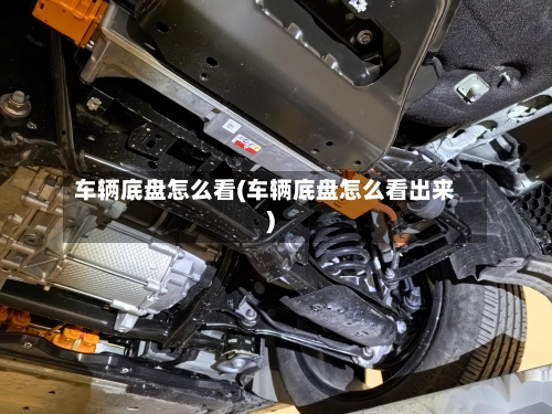 车辆底盘怎么看(车辆底盘怎么看出来)