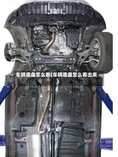 车辆底盘怎么看(车辆底盘怎么看出来)-第2张图片