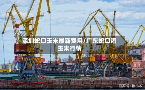 深圳蛇口玉米最新费用/广东蛇口港玉米行情