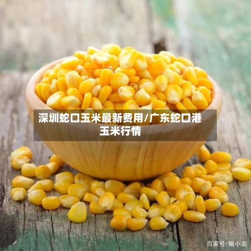 深圳蛇口玉米最新费用/广东蛇口港玉米行情-第2张图片