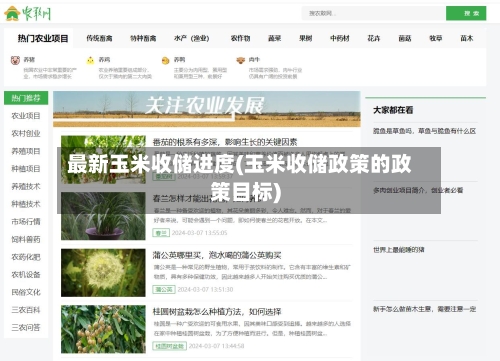 最新玉米收储进度(玉米收储政策的政策目标)
