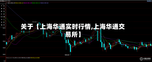 关于【上海华通实时行情,上海华通交易所】-第2张图片