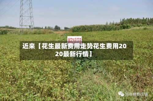 近来【花生最新费用走势花生费用2020最新行情】-第2张图片