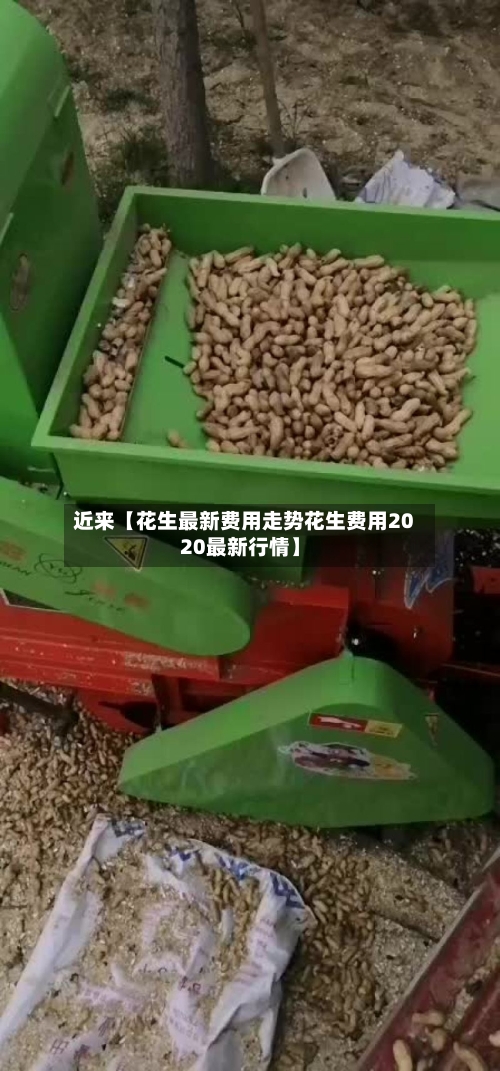 近来【花生最新费用走势花生费用2020最新行情】