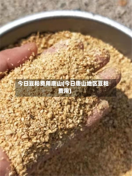 今日豆粕费用唐山(今日唐山地区豆粕费用)-第2张图片