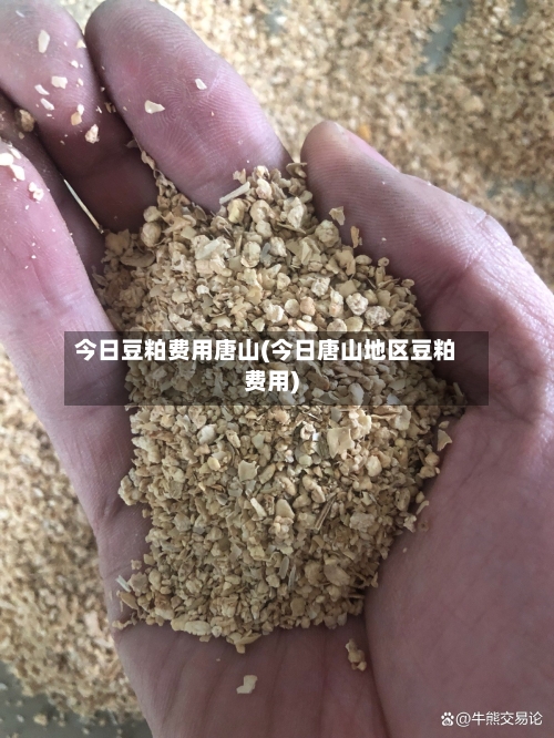 今日豆粕费用唐山(今日唐山地区豆粕费用)-第3张图片