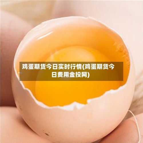 鸡蛋期货今日实时行情(鸡蛋期货今日费用金投网)-第3张图片