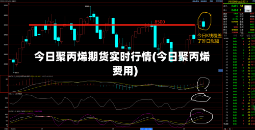 今日聚丙烯期货实时行情(今日聚丙烯费用)