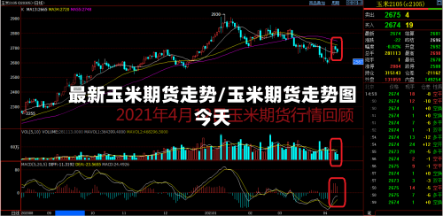最新玉米期货走势/玉米期货走势图今天-第2张图片