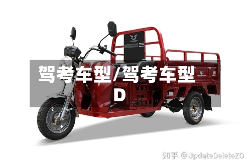 驾考车型/驾考车型D-第2张图片