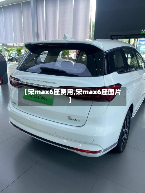 【宋max6座费用,宋max6座图片】-第2张图片