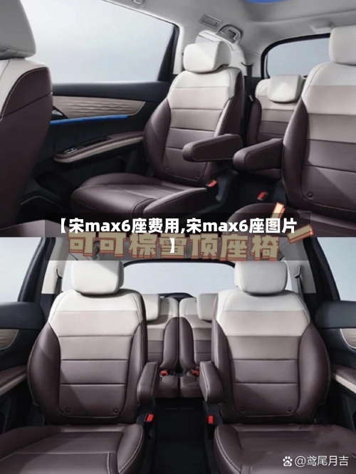 【宋max6座费用,宋max6座图片】