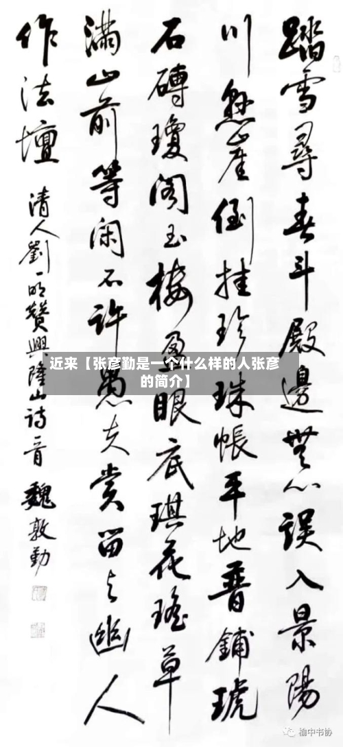 近来【张彦勤是一个什么样的人张彦的简介】