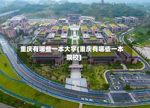 重庆有哪些一本大学(重庆有哪些一本院校)