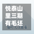 悦泰山里三期有毛坯房吗(悦泰山里3期怎么样)-第2张图片
