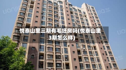 悦泰山里三期有毛坯房吗(悦泰山里3期怎么样)-第3张图片