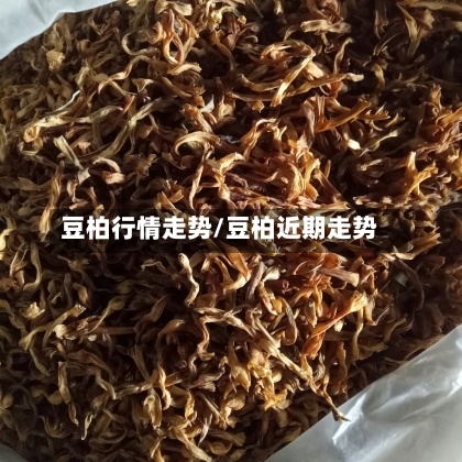 豆柏行情走势/豆柏近期走势