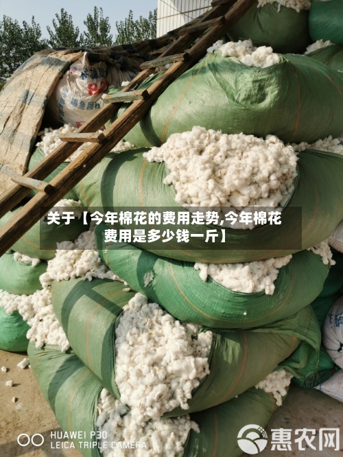 关于【今年棉花的费用走势,今年棉花费用是多少钱一斤】-第2张图片