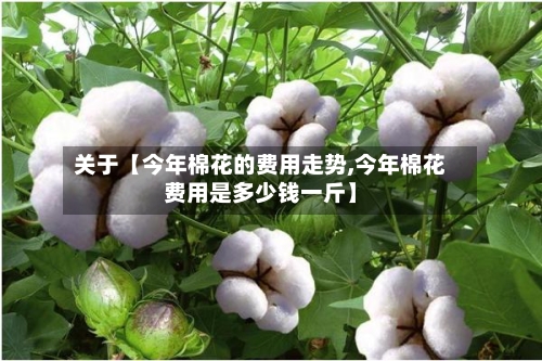 关于【今年棉花的费用走势,今年棉花费用是多少钱一斤】