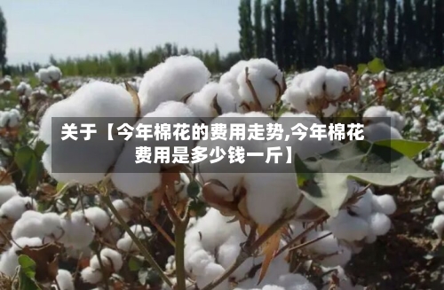 关于【今年棉花的费用走势,今年棉花费用是多少钱一斤】-第3张图片
