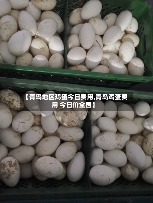 【青岛地区鸡蛋今日费用,青岛鸡蛋费用 今日价全国】-第2张图片