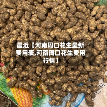 最近【河南周口花生最新费用表,河南周口花生费用行情】