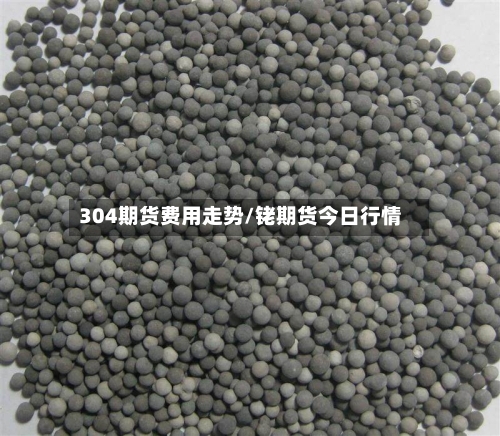 304期货费用走势/铑期货今日行情