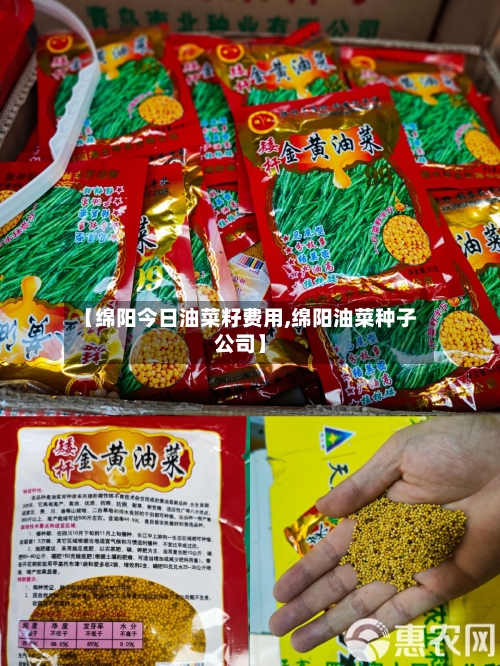 【绵阳今日油菜籽费用,绵阳油菜种子公司】
