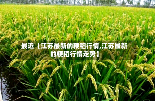 最近【江苏最新的粳稻行情,江苏最新的粳稻行情走势】-第3张图片