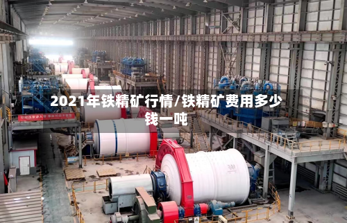 2021年铁精矿行情/铁精矿费用多少钱一吨-第2张图片