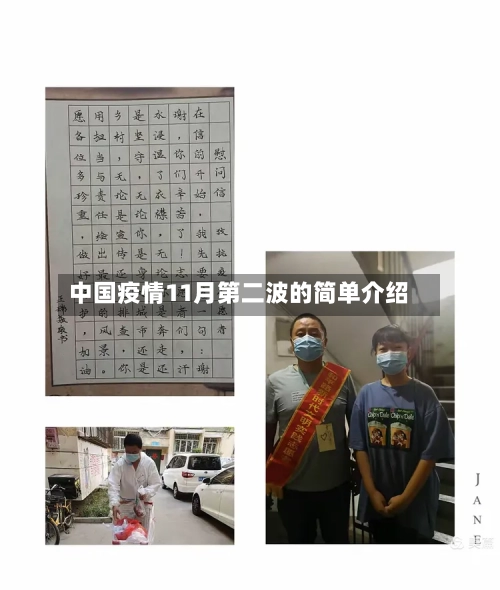 中国疫情11月第二波的简单介绍