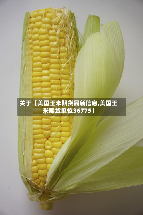 关于【美国玉米期货最新信息,美国玉米期货单位36775】