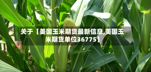 关于【美国玉米期货最新信息,美国玉米期货单位36775】-第2张图片
