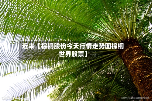 近来【棕榈股份今天行情走势图棕榈世界股票】