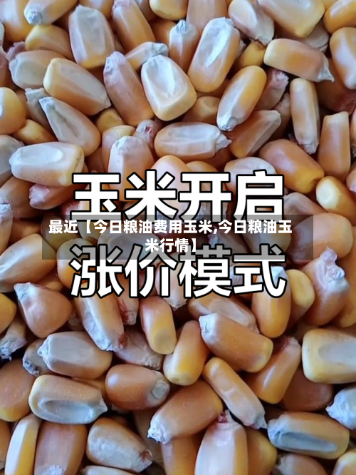 最近【今日粮油费用玉米,今日粮油玉米行情】
