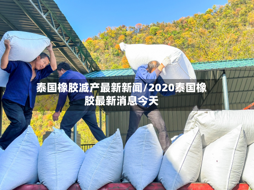 泰国橡胶减产最新新闻/2020泰国橡胶最新消息今天-第2张图片