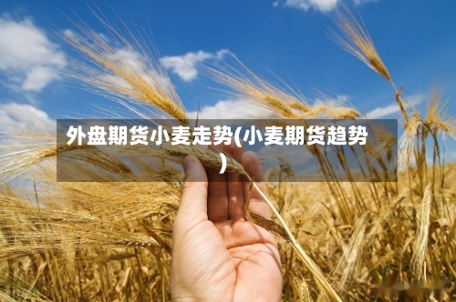 外盘期货小麦走势(小麦期货趋势)