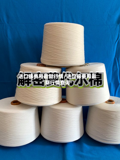 进口棉费用最新行情/进口棉费用最新行情查询-第3张图片