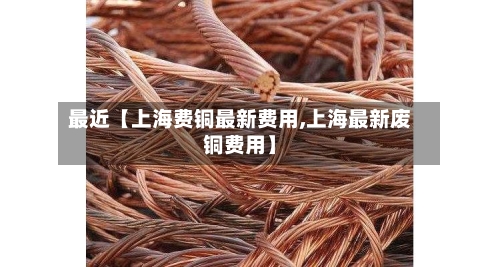 最近【上海费铜最新费用,上海最新废铜费用】